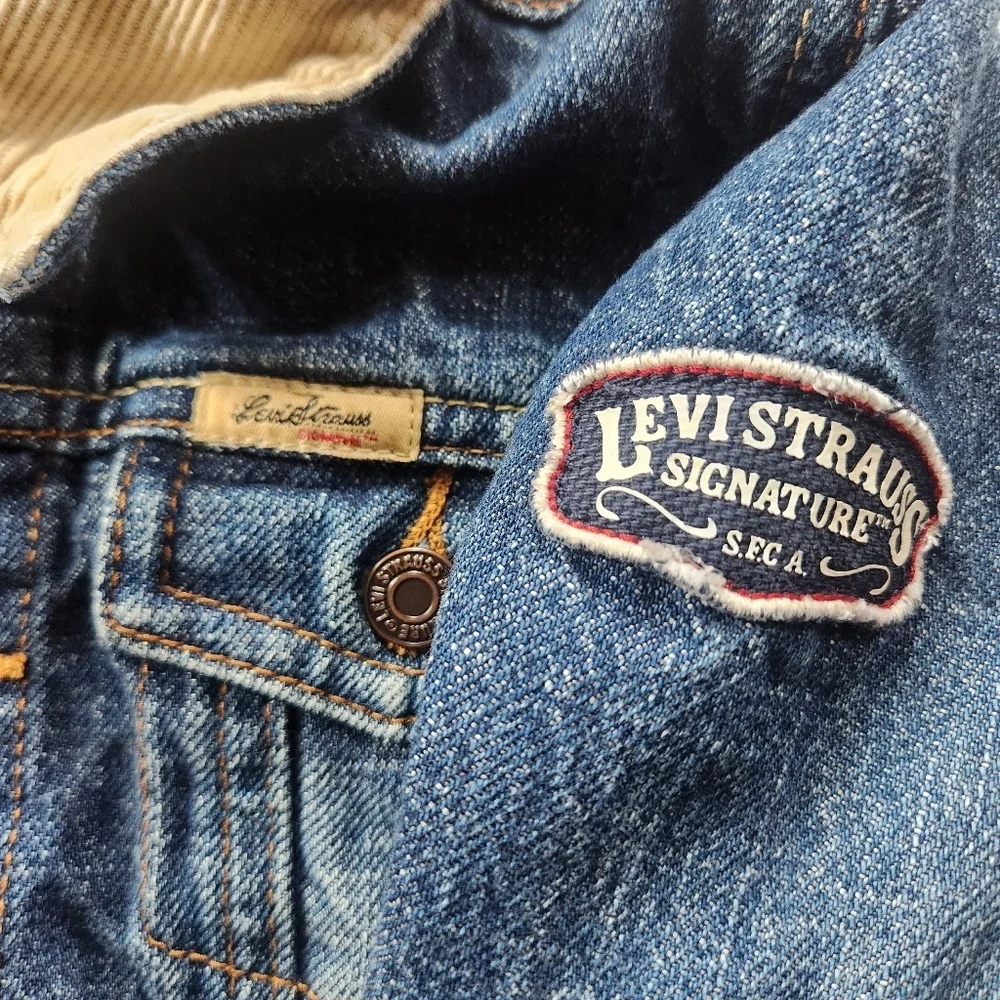 Levi Strauss Signature y2k levi